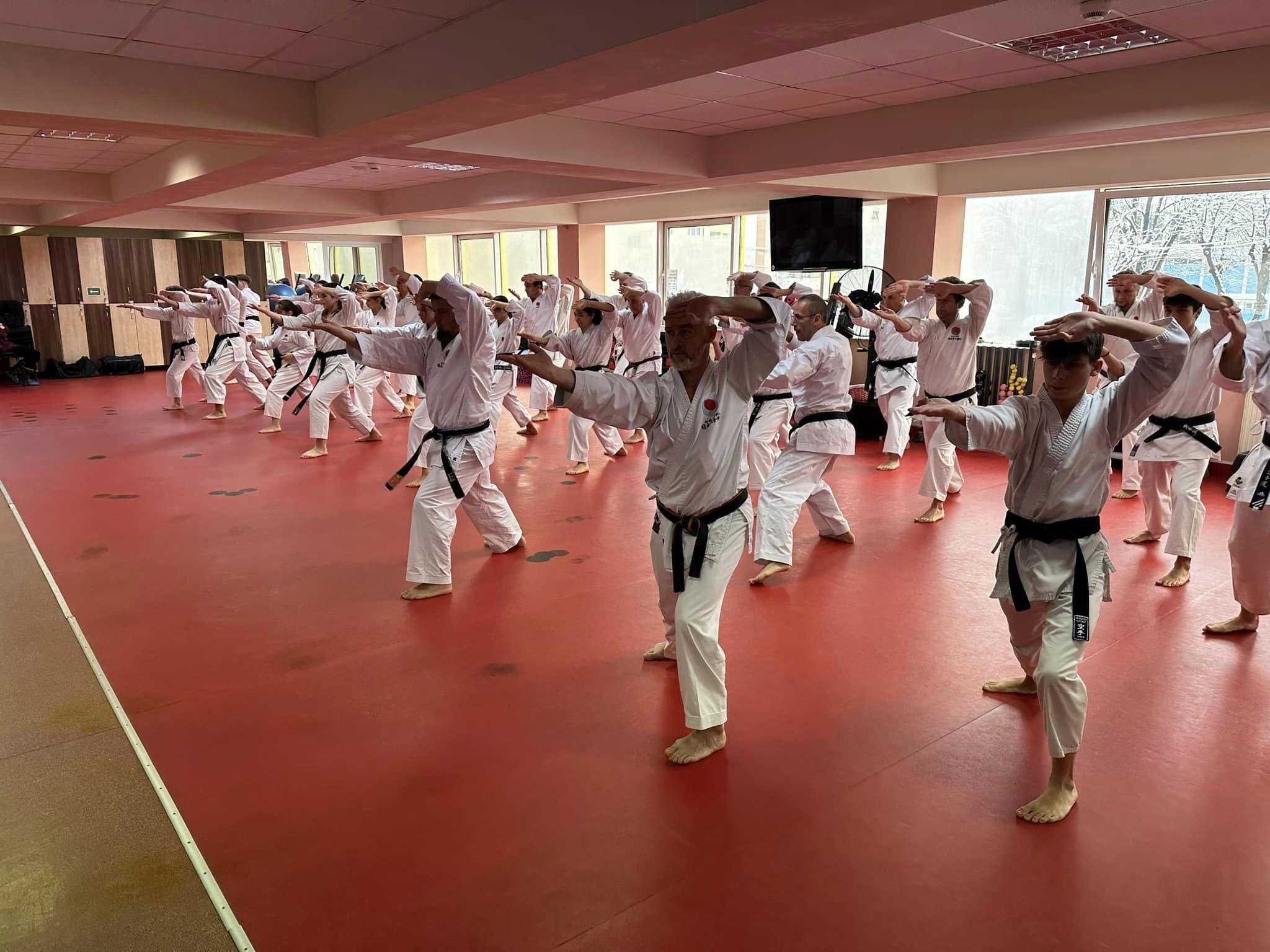 2023 Seminar Standardizare JKA-28 ianuarie Sibiu
