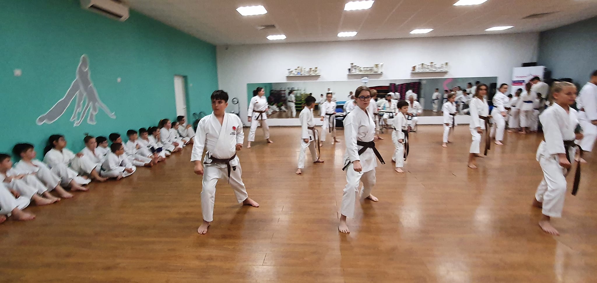Examene de grad kyu – 10 iunie 2022